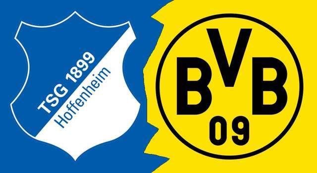 霍芬海姆主场告捷,继续追赶前四的简单介绍 霍芬海姆主场告捷,继续追赶前四的简单介绍